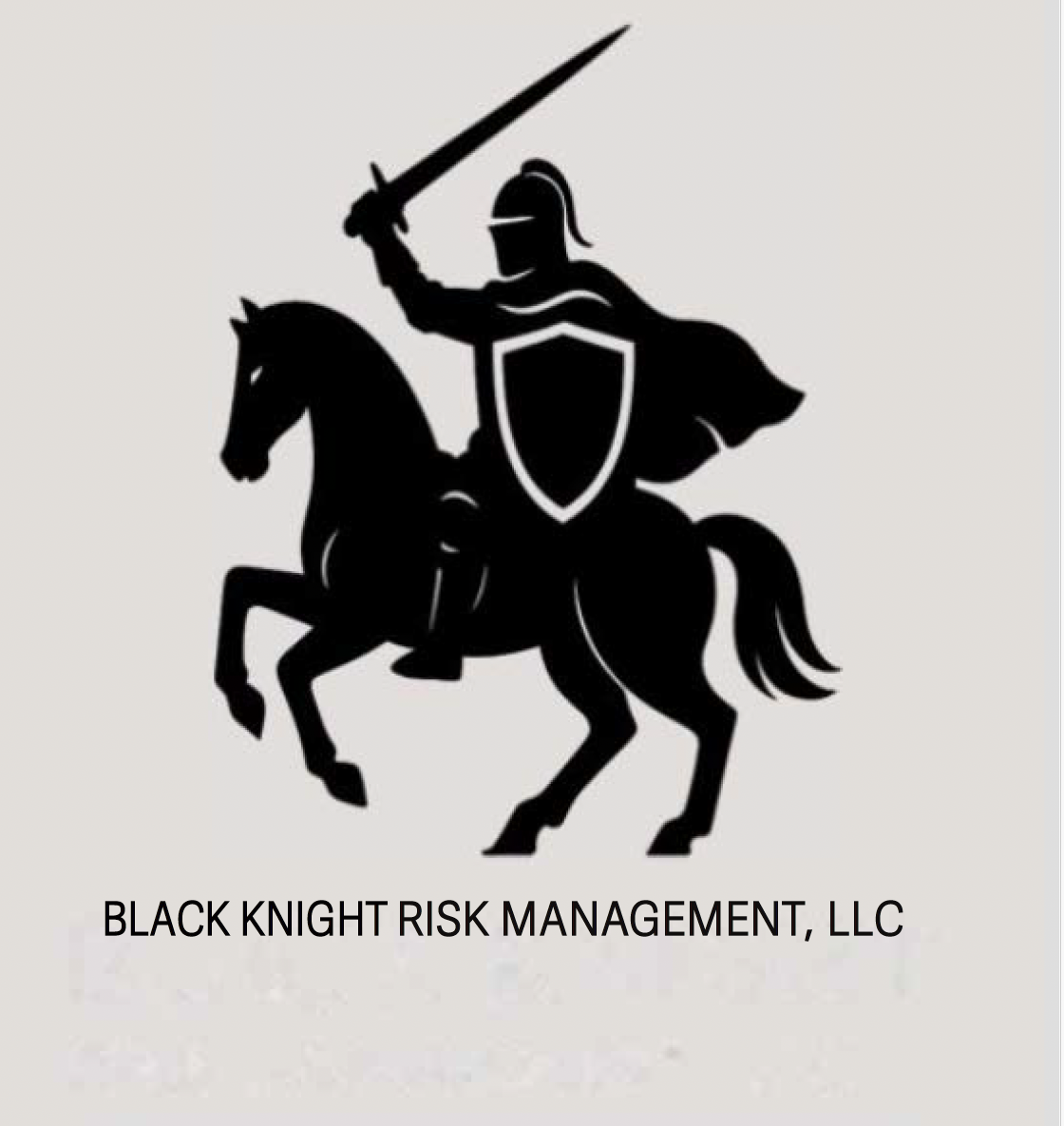 Black Knight Risk Management Logo